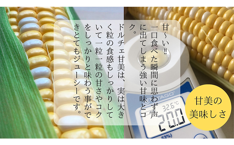 【 先行予約 】リピーター続出！ とうもろこし 【 ドルチェ甘美 】約5kg 10～12本 トウモロコシ 甘い 野菜 採れたて 朝採り 農家直送 袋井市 静岡県