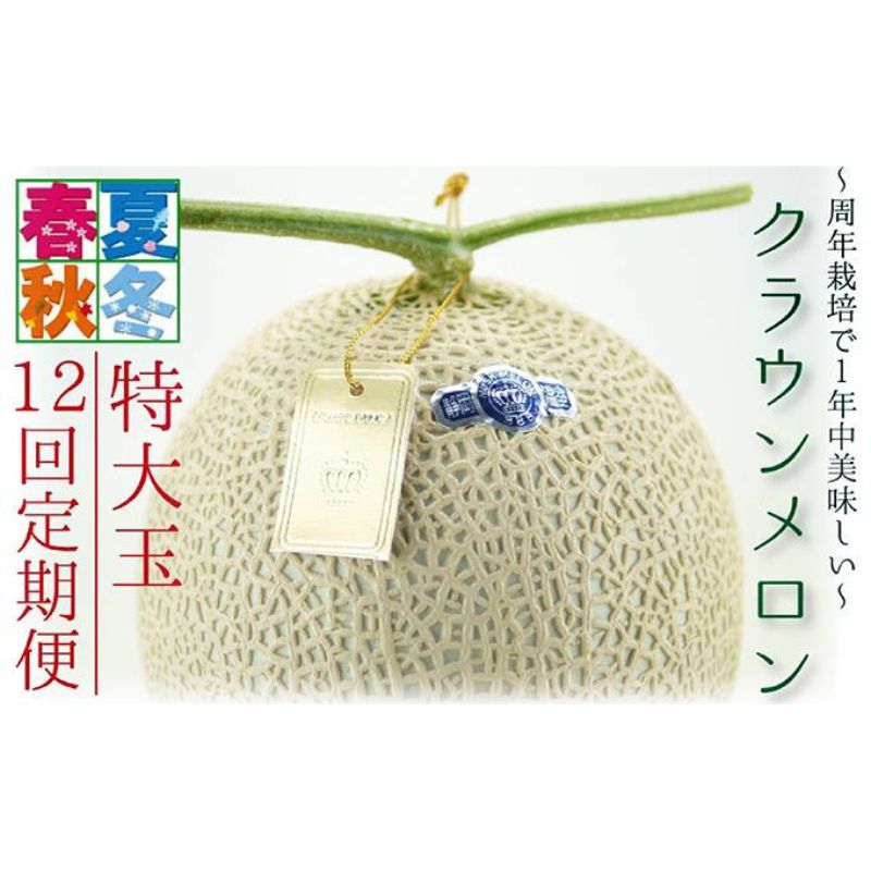 【12ヶ月定期便】クラウンメロン（白等級）特大玉　1玉入
