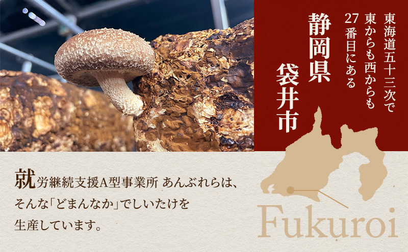 【遠州どまんなかしいたけ】 生しいたけ・乾燥しいたけセット (生しいたけ 約400g , 乾燥しいたけ　丸小 30g1袋 , スライス 小35g2袋)　干し椎茸 産地直送 国産 料理 素材 出汁 日本料理 就労支援 福祉 静岡 袋井