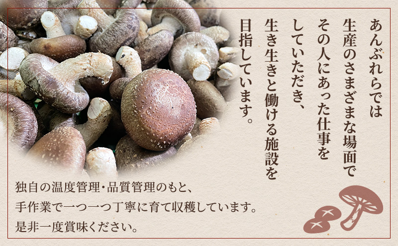 ãé å·ã©ãŸããªãããããã çããããã»ä¹Ÿç¥ããããã»ãã (çãããã çŽ400g , 也ç¥ããããã䞞倧 80g1è¢ äžžå° 30g1è¢ , ã¹ã©ã€ã¹ å°35g2è¢)ãå¹²ãæ€èž ç£å°çŽé åœç£ æç çŽ æ åºæ± æ¥æ¬æç å°±åŽæ¯æŽ çŠç¥ é岡 è¢äº