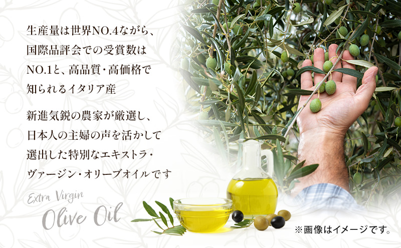 ãåè³èŸ²å®¶ãéžåºã é«çŽã€ã¿ãªã¢ç£ ãšãã¹ãã©ã»ãŽã¡ãŒãžã³ã»ãªãªãŒããªã€ã« 450gÃ3åãéæå®æäŸ¿6å(2ã¶æã«1床)ãå±ãã èª¿å³æ æ²¹ ãªãªãŒãæ²¹ é£çšæ²¹ é岡ç è¢äºåž