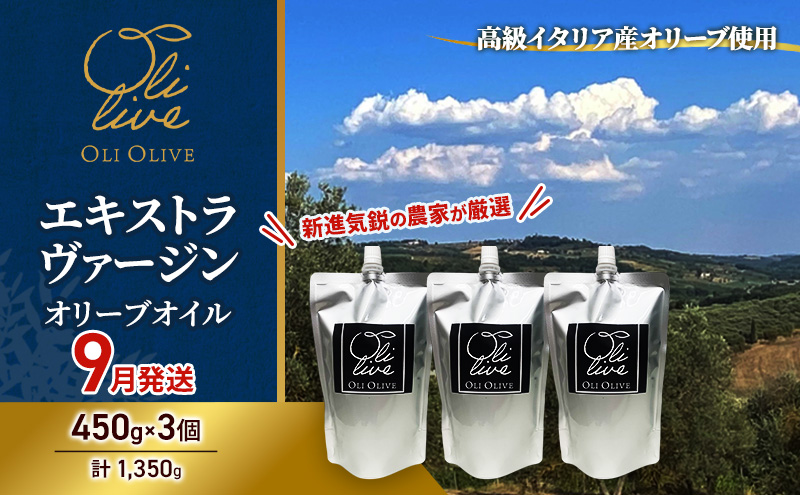 高級イタリア産 エキストラ・ヴァージン・オリーブオイル 450g×3個【2026年9月中旬より順次発送】調味料 油 オリーブ油 食用油 静岡県 袋井市
