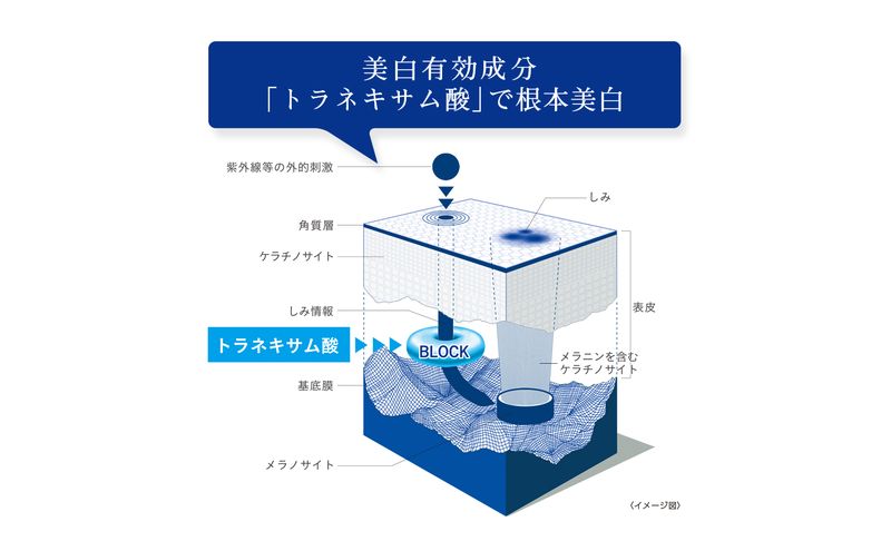 トランシーノ薬用メラノシグナルエッセンス50g　ケア スキンケア 美白 美容液 保湿 エイジングケア　うるおい しみケア そばかすを防ぐ トランシーノ 第一三共