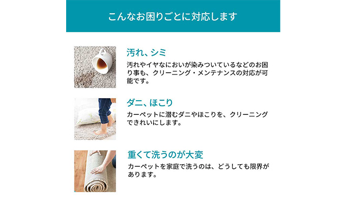 クリーニング 絨毯 クリーニングクーポン リナビス ラグ カーペット 玄関マット 電気カーペット 洗濯 防ダニ 高品質 せんたく便 宅配クリーニング チケット 券 サービス 静岡 静岡県 袋井市