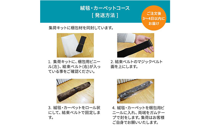 クリーニング 絨毯 クリーニングクーポン リナビス ラグ カーペット 玄関マット 電気カーペット 洗濯 防ダニ 高品質 せんたく便 宅配クリーニング チケット 券 サービス 静岡 静岡県 袋井市