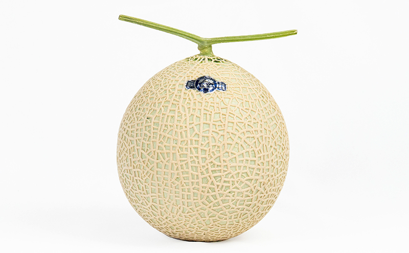 クラウンメロン 1.3kg以上 2玉(冬9～2月) 果物 メロン 青肉 フルーツ デザート 高級メロン ブランドメロン 袋井市 静岡県