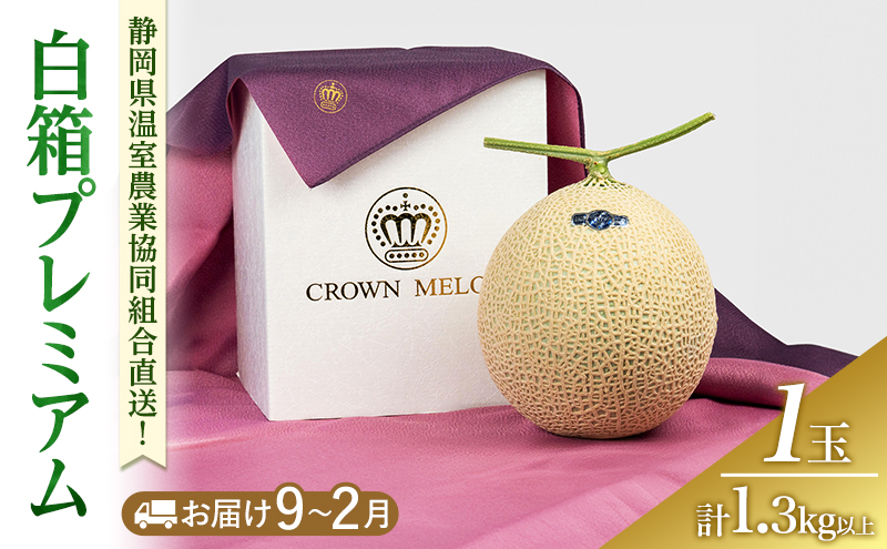白箱プレミアム (冬9～2月) 果物 メロン 青肉 フルーツ デザート 高級メロン ブランドメロン 袋井市 静岡県