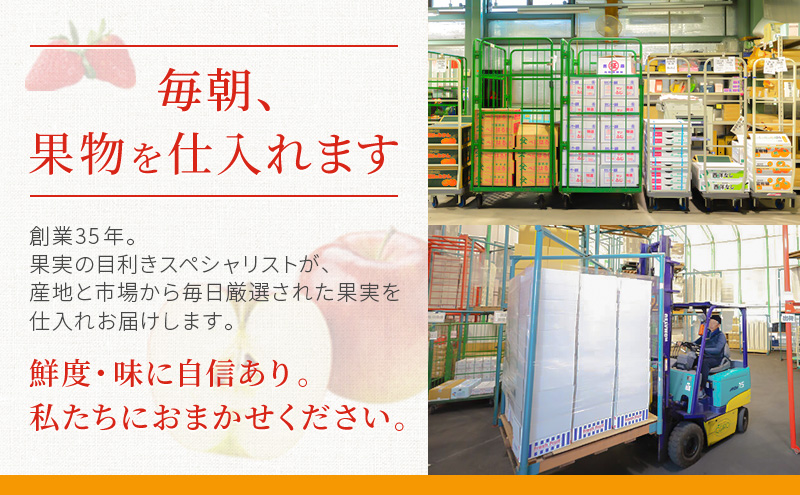 静岡県袋井市産 クラウンメロン 白等級 1.3kg 2個 静岡県 袋井市 メロン 白 フルーツ 果物 人気 1月～11月
