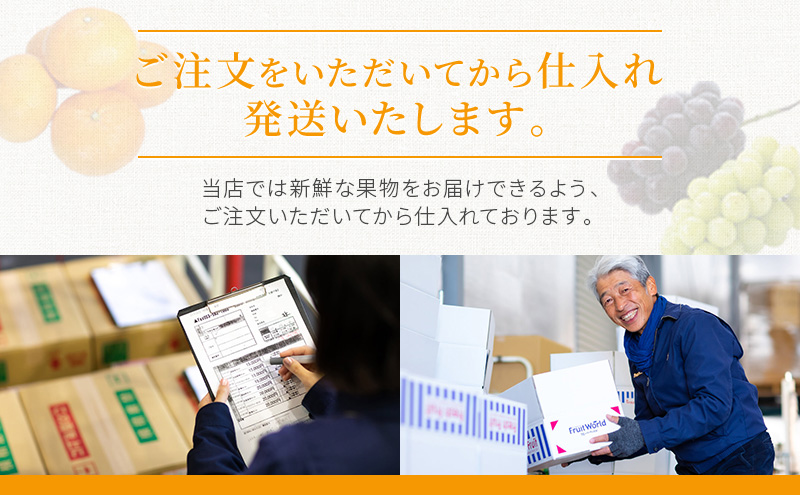 静岡県袋井市産 クラウンメロン 白等級 1.3kg 2個 静岡県 袋井市 メロン 白 フルーツ 果物 人気 1月～11月