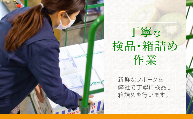 【5月～6月 期間限定出荷】 こだわり クラウンメロン 3個 山 1.3kg×3 クラウン メロン めろん 山等級 静岡県 静岡 袋井市 贈答 高級 フルーツ 果物