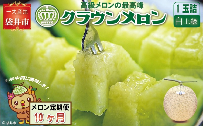 【10ヶ月定期便】クラウンメロン（白上級）1玉入 メロン デザート グルメ 果物 フルーツ 季節の果物 スイーツ 袋井市 静岡県