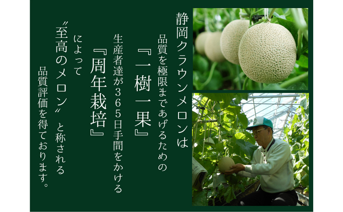 【7ヶ月定期便】クラウンメロン（白上級）1玉入 メロン デザート グルメ 果物 フルーツ 季節の果物 スイーツ 袋井市 静岡県