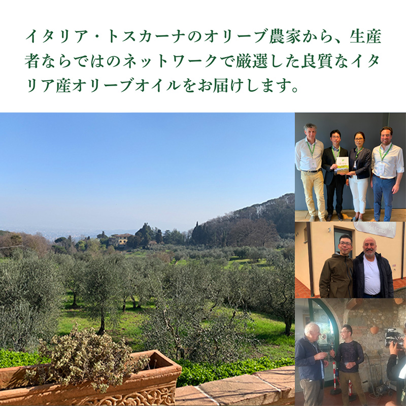 産地厳選 イタリア産エキストラバージンオリーブオイル 450g×6個 【12月中旬より順次発送】調味料 油 オリーブ油 ??油 静岡県 袋井市