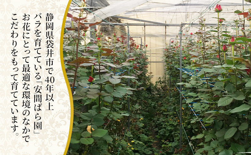 ã2026幎6æïœ9æå®æäŸ¿ãå®éã°ãå ãã ããã® ãã© ããŸããè©°ãåããçŽ30æ¬ 4ãæå®æäŸ¿ è± ã®ãã èªçæ¥ èšå¿µæ¥ è±æ ãã¬ãŒã³ã ãã© ãã©ã¯ãŒã®ãã