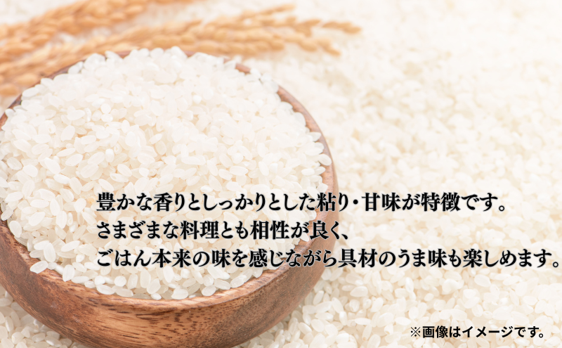 ç±³ é岡ã³ã·ãã«ãª 5kg ã³ã·ãã«ãª ãç±³ çœç±³ ã³ã¡ é岡çç£