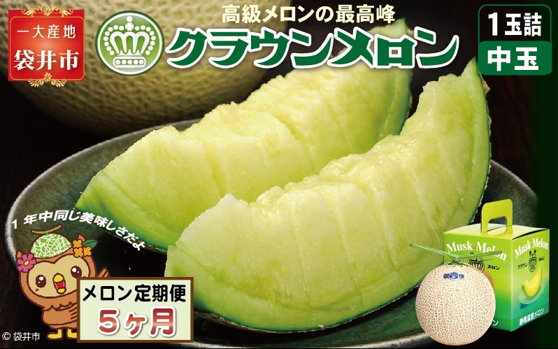 【5ヶ月定期便】クラウンメロン（白等級）中玉　1玉入 　果物 フルーツ デザート メロン マスクメロン 青肉 高級 ギフト 贈り物 静岡県産 袋井市