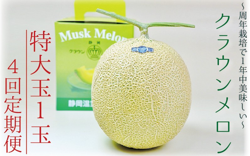 【4ヶ月定期便】クラウンメロン（白等級）特大玉　1玉入 　果物 フルーツ デザート メロン マスクメロン 青肉 高級 ギフト 贈り物 静岡県産 袋井市