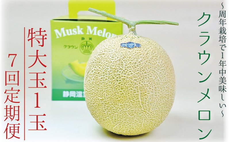 【7ヶ月定期便】クラウンメロン（白等級）特大玉　1玉入 　果物 フルーツ デザート メロン マスクメロン 青肉 高級 ギフト 贈り物 静岡県産 袋井市