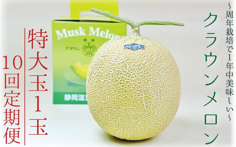 【10ヶ月定期便】クラウンメロン（白等級）特大玉　1玉入 　果物 フルーツ デザート メロン マスクメロン 青肉 高級 ギフト 贈り物 静岡県産 袋井市