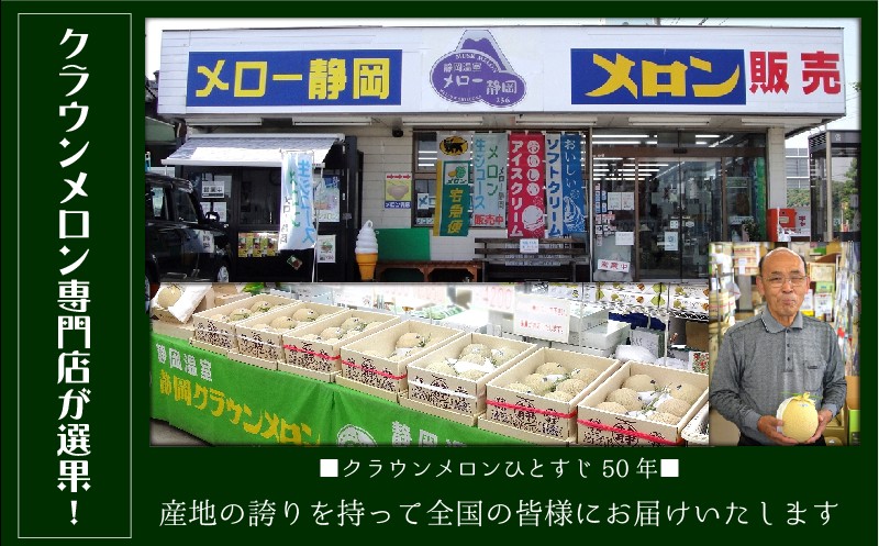 【10ヶ月定期便】クラウンメロン（白等級）特大玉　1玉入 　果物 フルーツ デザート メロン マスクメロン 青肉 高級 ギフト 贈り物 静岡県産 袋井市