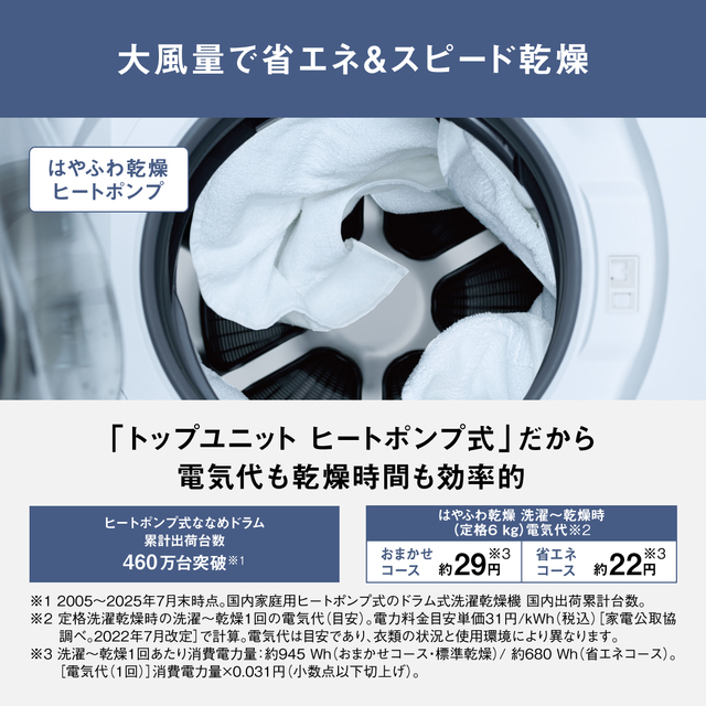 パナソニック 洗濯機 ななめドラム洗濯乾燥機 LXシリーズ 洗濯/乾燥容量：12/6kg マットホワイト NA-LX125ER-W ドア右開き 日本製