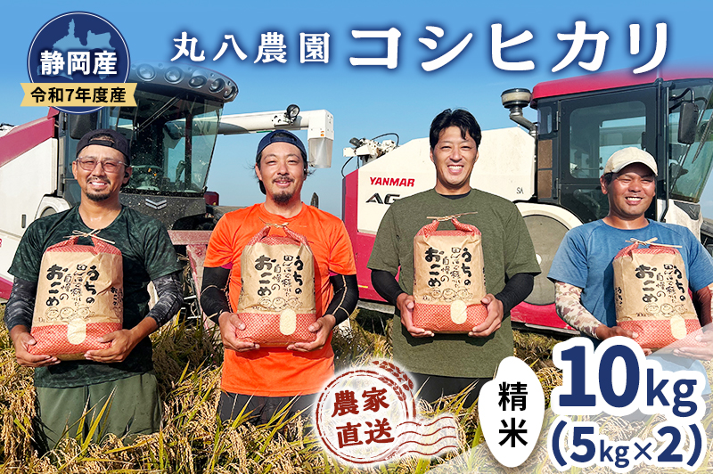 お米 令和7年度産静岡産コシヒカリ精米5kg×2 米 コメ こしひかり コシヒカリ 精米 白米 袋井市 静岡県