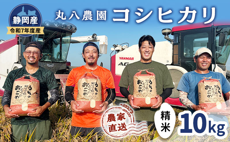 お米 令和7年度産静岡産コシヒカリ精米 10kg 米 コメ こしひかり コシヒカリ 精米 白米 袋井市 静岡県