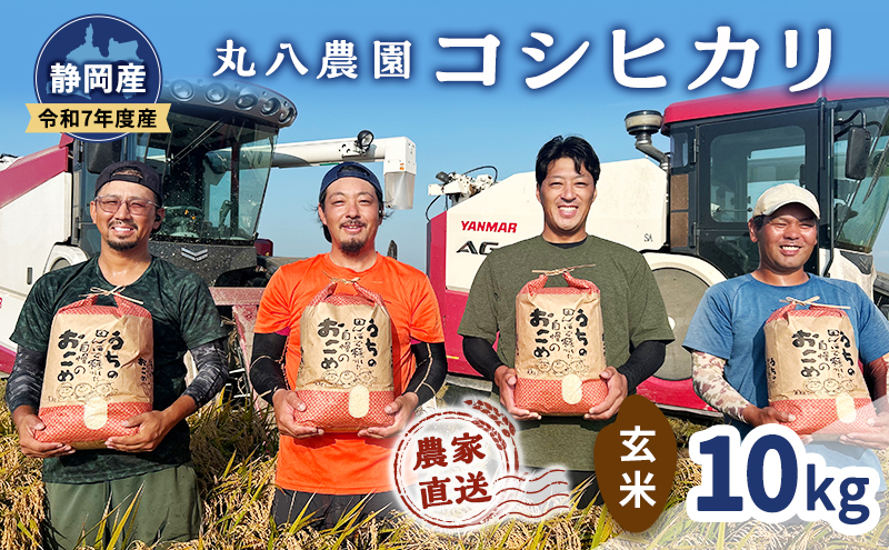 お米 令和7年度産静岡産コシヒカリ玄米 10kg 米 コメ こしひかり コシヒカリ 玄米 袋井市 静岡県