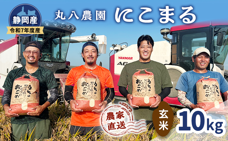 お米 令和7年度産静岡産にこまる玄米 10kg 米 コメ にこまる 玄米 袋井市 静岡県