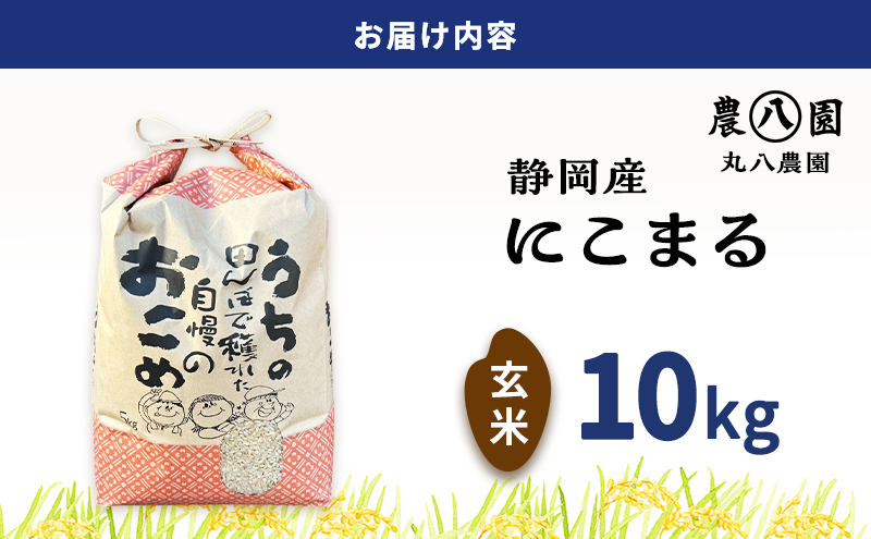 お米 令和7年度産静岡産にこまる玄米 10kg 米 コメ にこまる 玄米 袋井市 静岡県