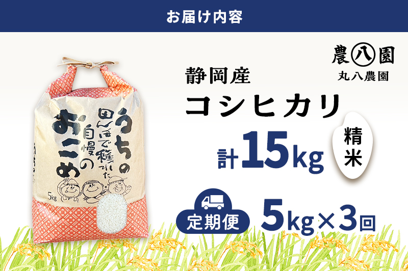 お米 （定期便3回）令和7年度産静岡県産コシヒカリ精米5kg×3 計15kg 米 コメ こしひかり コシヒカリ 精米 白米 定期便 袋井市 静岡県