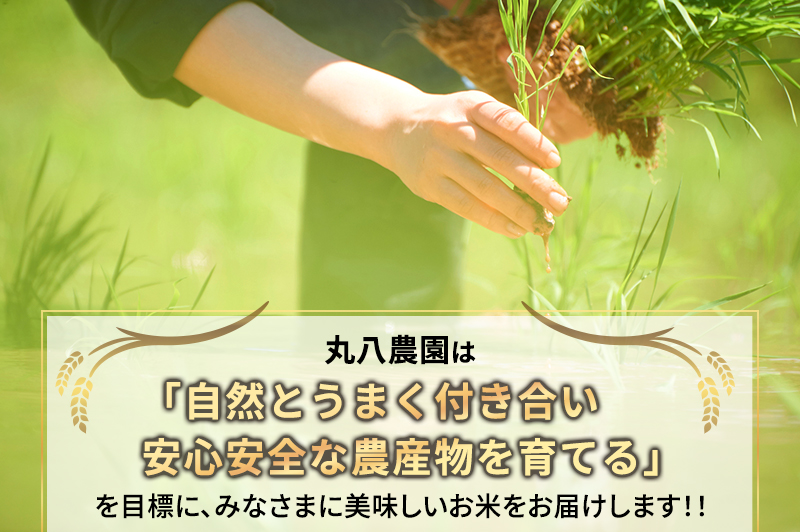 お米 （定期便3回）令和7年度産静岡県産にこまる精米5kg×3 計15kg 米 コメ にこまる 精米 白米 定期便 袋井市 静岡県