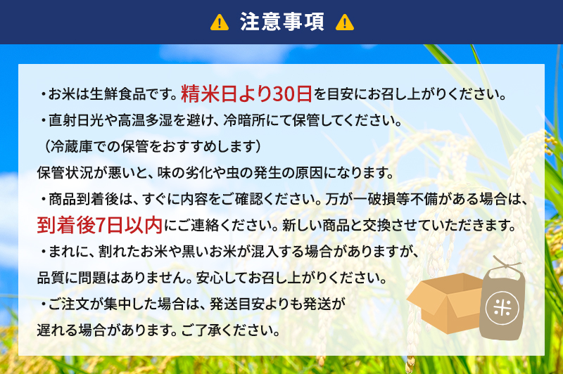 お米 令和7年度産静岡産にこまる精米5kg 米 コメ にこまる 精米 白米 袋井市 静岡県