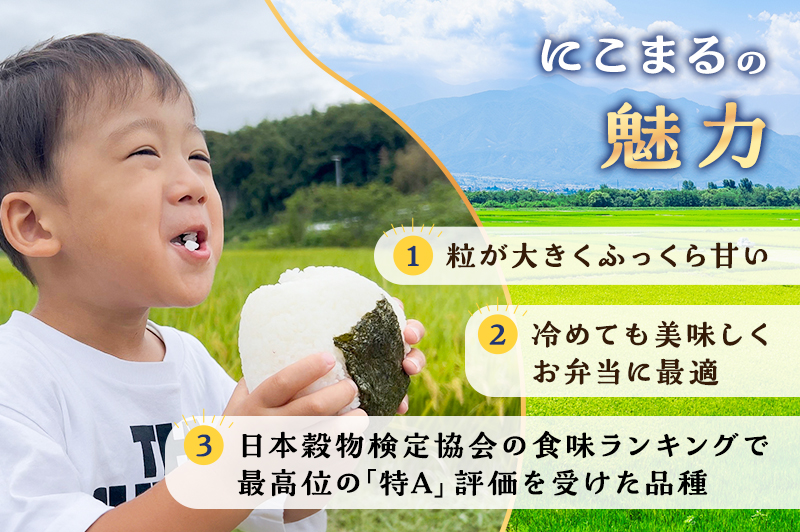 お米 （定期便3回）令和7年度産静岡県産にこまる精米5kg×3 計15kg 米 コメ にこまる 精米 白米 定期便 袋井市 静岡県