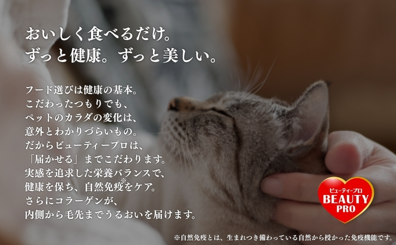 日本ペットフード ビューティープロ キャット 避妊・去勢後用 1.4kg（280g×5袋入）×8袋（ケース） キャットフード