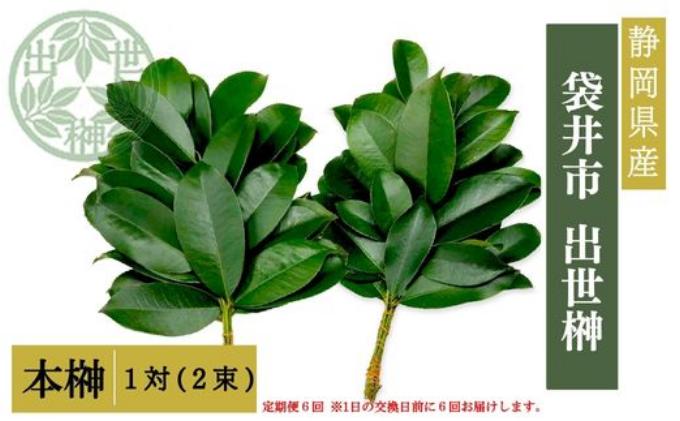 袋井市　出世榊　本榊　純国産　1対（2束）定期便6ヶ月※1日交換に間に合うように配送　榊 さかき サカキ 神棚 お供え 国内産 日持ち 大きい 艶やか 静岡県