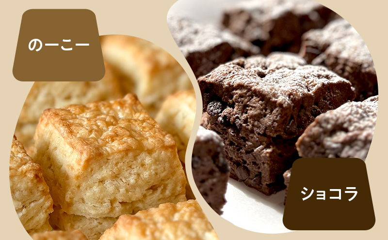 スコーンセット／スコーン／スコーン詰め合わせ（8点セット/のーこー50g1個、ショコラ50g1個、くるみメープル50g1個、クリームチーズとあんこ80g1個、ブルーベリーとクリームチーズ50g1個、ダブルチョコレート50g1個、あんバター70g2個）
