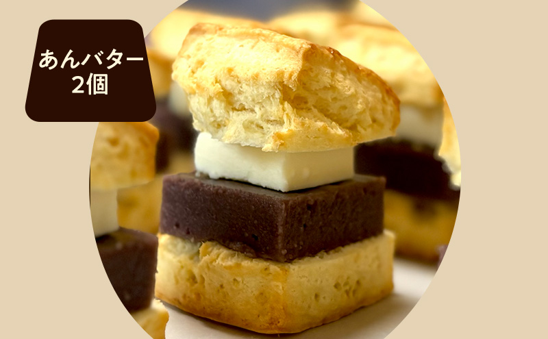 スコーンセット／スコーン／スコーン詰め合わせ（8点セット/のーこー50g1個、ショコラ50g1個、くるみメープル50g1個、クリームチーズとあんこ80g1個、ブルーベリーとクリームチーズ50g1個、ダブルチョコレート50g1個、あんバター70g2個）