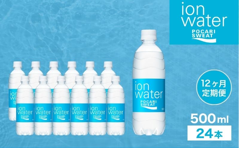 イオンウォーター 定期便 12ヶ月 500ml 24本 大塚製薬 ポカリスエット ポカリ スポーツドリンク イオン飲料 スポーツ トレーニング アウトドア 熱中症対策 健康 12回