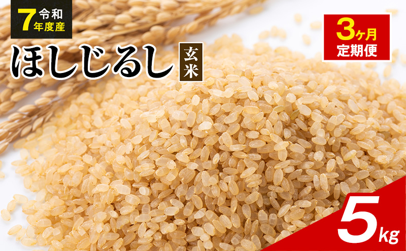 令和7年度産 ほしじるし 5kg 玄米 3ヶ月定期便 米 静岡県 袋井市【離島配送不可】