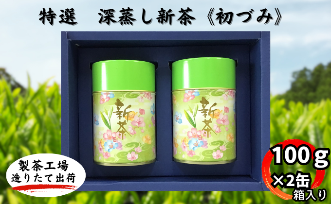 特選　深蒸し新茶《初づみ》箱入（100ｇ×2缶） お茶 緑茶 