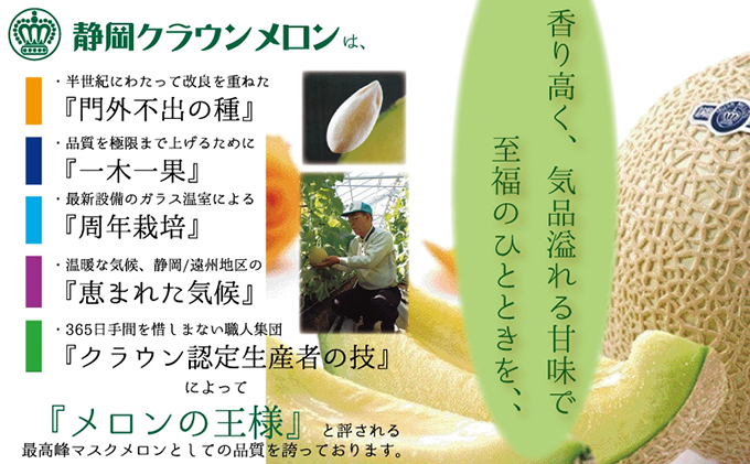 【6ヶ月定期便】クラウンメロン（白等級）特大玉　1玉入 果物類 メロン青肉 