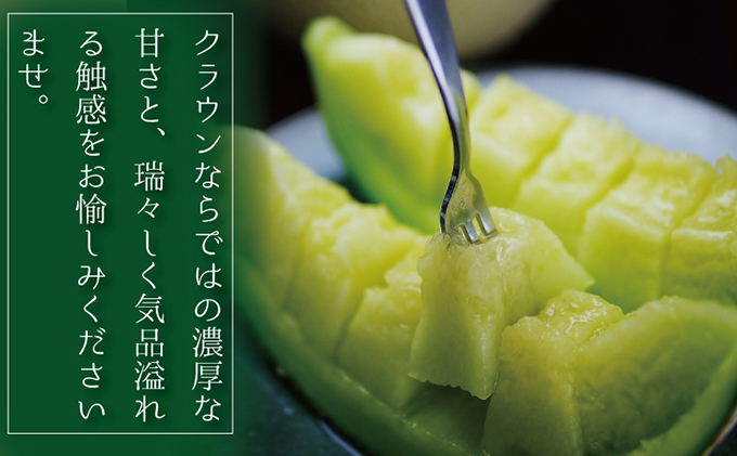 【6ヶ月定期便】クラウンメロン（白等級）特大玉　1玉入 果物類 メロン青肉 