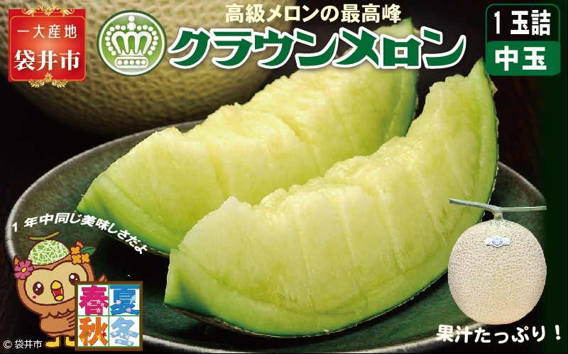 クラウンメロン（白等級）中玉　1玉入 果物類 メロン青肉