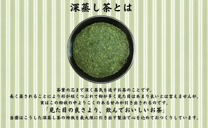 本格深蒸し煎茶テーバッグ詰合せ(2)（2g[10個入]×4袋・5g[10個入]×4袋）