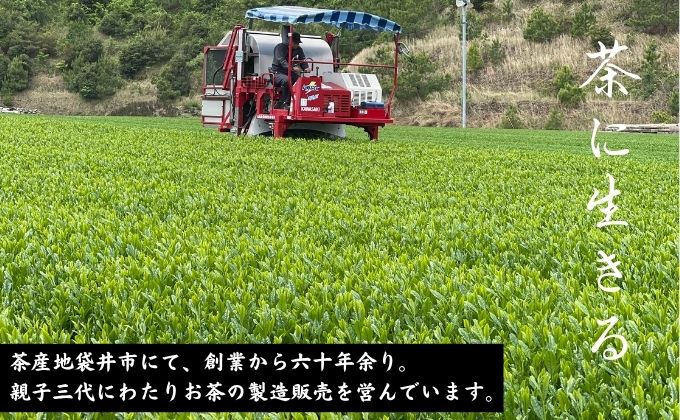 深蒸し新茶《特上煎茶[200g×1本]・上煎茶[180g×2本]》