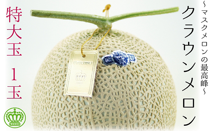 【お中元用】『クラウンメロン 白等級 特大玉　1玉』 熨斗シール付き化粧箱入り　お届け：2024年7月1日～31日 果物類 メロン青肉 