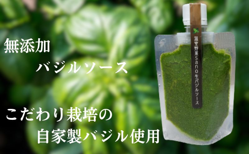 温室野菜 sano 　生バジルソース 料理 イタリア料理 新鮮 香り 温室栽培 無添加 おすすめ 人気 厳選 袋井市 加工食品 食用油 