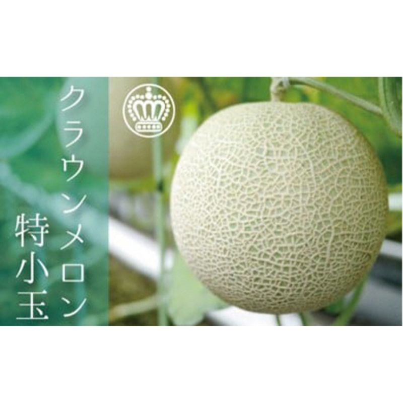 クラウンメロン（白等級）小玉　１玉入 果物類 メロン青肉