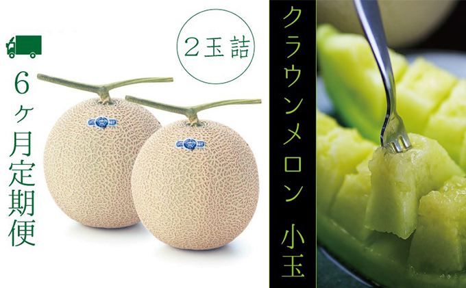 【6ヶ月定期便】クラウンメロン（白級級）小玉　２玉入 果物類 メロン青肉